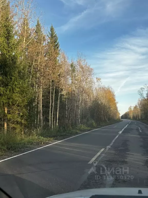 Участок в Ленинградская область, Волховский район, Кисельнинское ... - Фото 0