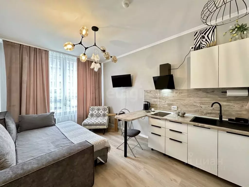 Студия Санкт-Петербург пос. Шушары, ул. Нины Петровой, 10к1 (22.4 м) - Фото 1