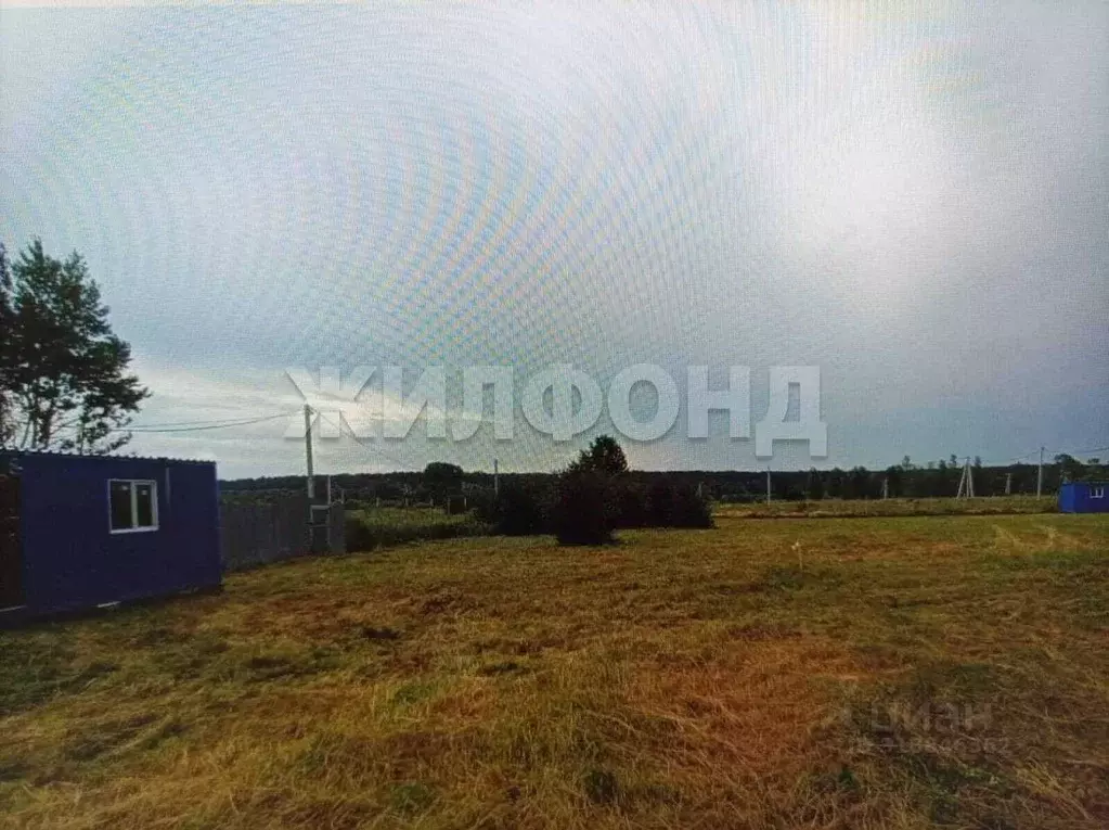 Участок в Новосибирская область, Новосибирский район, с. Кубовая ... - Фото 1