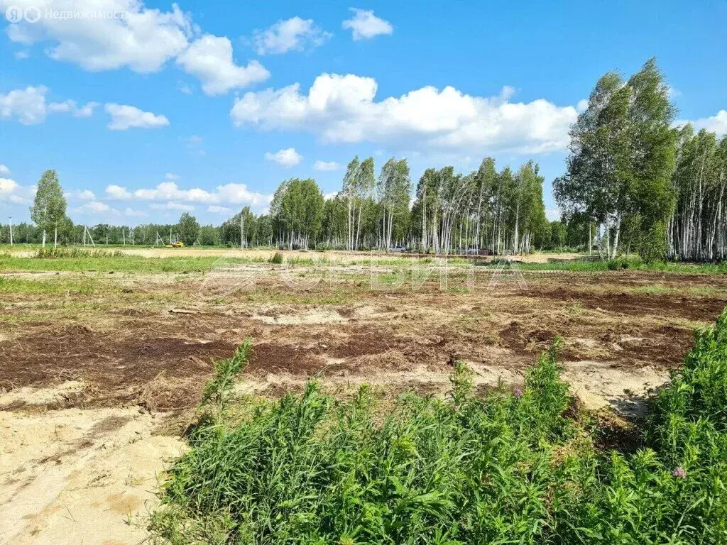 Участок в Тюменский район, деревня Решетникова (7.59 м) - Фото 1