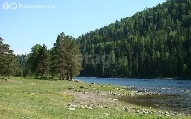 Участок в Усть-Пыжа, Центральная улица (13.77 м) - Фото 2