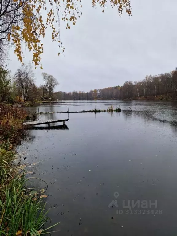 Участок в Московская область, Домодедово городской округ, д. Курганье, ... - Фото 1