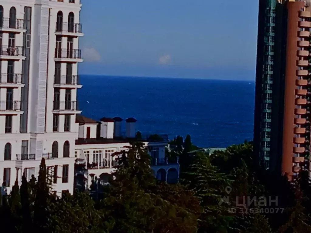 Студия Краснодарский край, Сочи Светлана мкр, ул. Депутатская, 10 ... - Фото 1