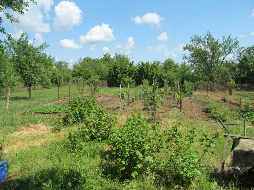 Участок в Краснодарский край, Абинский район, Ахтырское городское ... - Фото 2