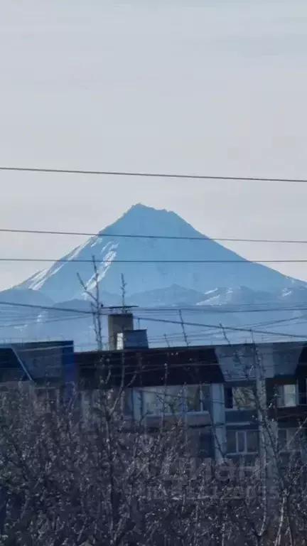 1-к кв. Камчатский край, Петропавловск-Камчатский ул. Карбышева, 14 ... - Фото 0