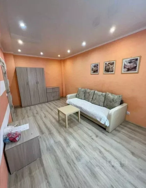 1-к кв. Псковская область, Псковский район, Завеличенская волость, д. ... - Фото 1