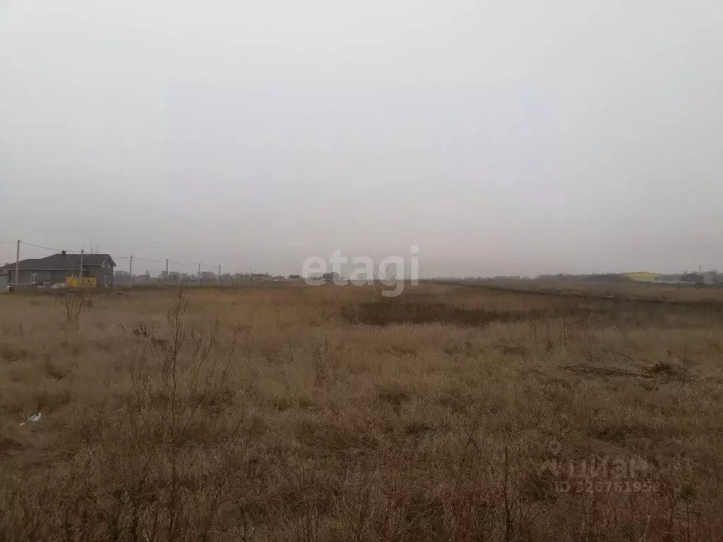 Участок в Курская область, Курский район, Новопоселеновский сельсовет, ... - Фото 1