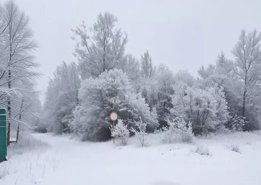 Участок в Ленинградская область, Кириши  (10.0 сот.) - Фото 1