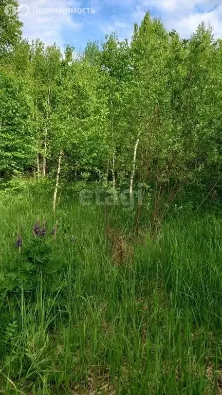 Участок в Благовещенский район, Тугайский сельсовет, СТ Керамик (15 м) - Фото 2