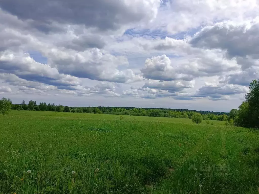 Участок в Новгородская область, Новгородский район, Трубичинское с/пос ... - Фото 1