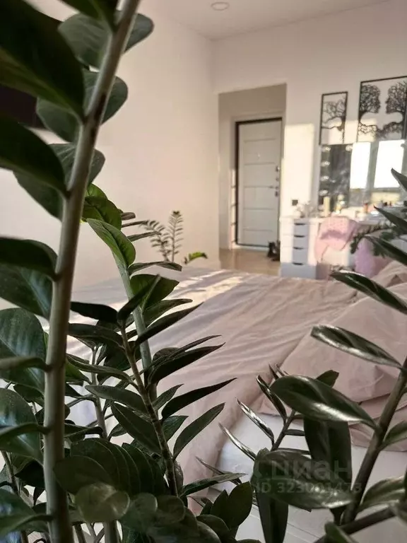 1-к кв. Краснодарский край, Анапа ул. Ленина, 180Ак14 (36.0 м) - Фото 2