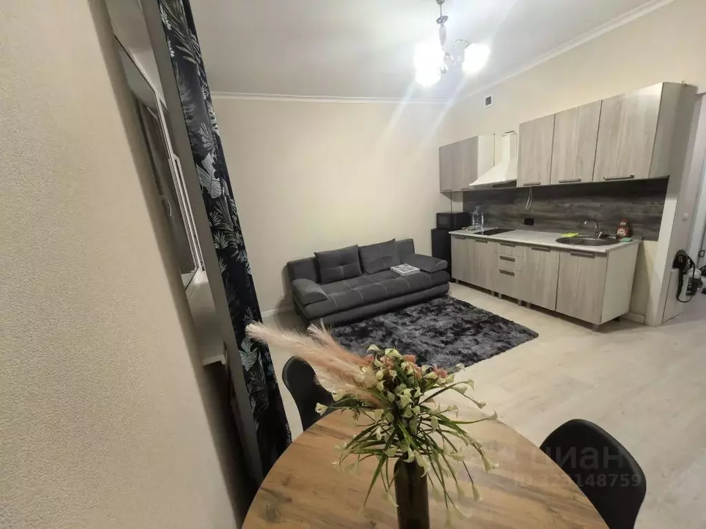 Студия Московская область, Красногорск ул. Липовой Рощи, 6к1 (27.0 м) - Фото 1