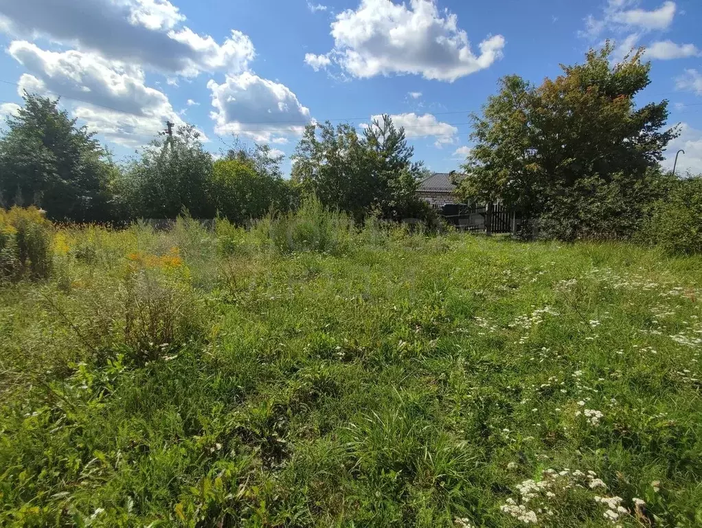 Участок в Новгородская область, Новгородский район, Бронницкое с/пос, ... - Фото 0