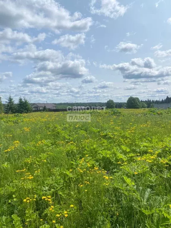Участок в Московская область, Клин городской округ, ДНП Маринские дачи ... - Фото 1
