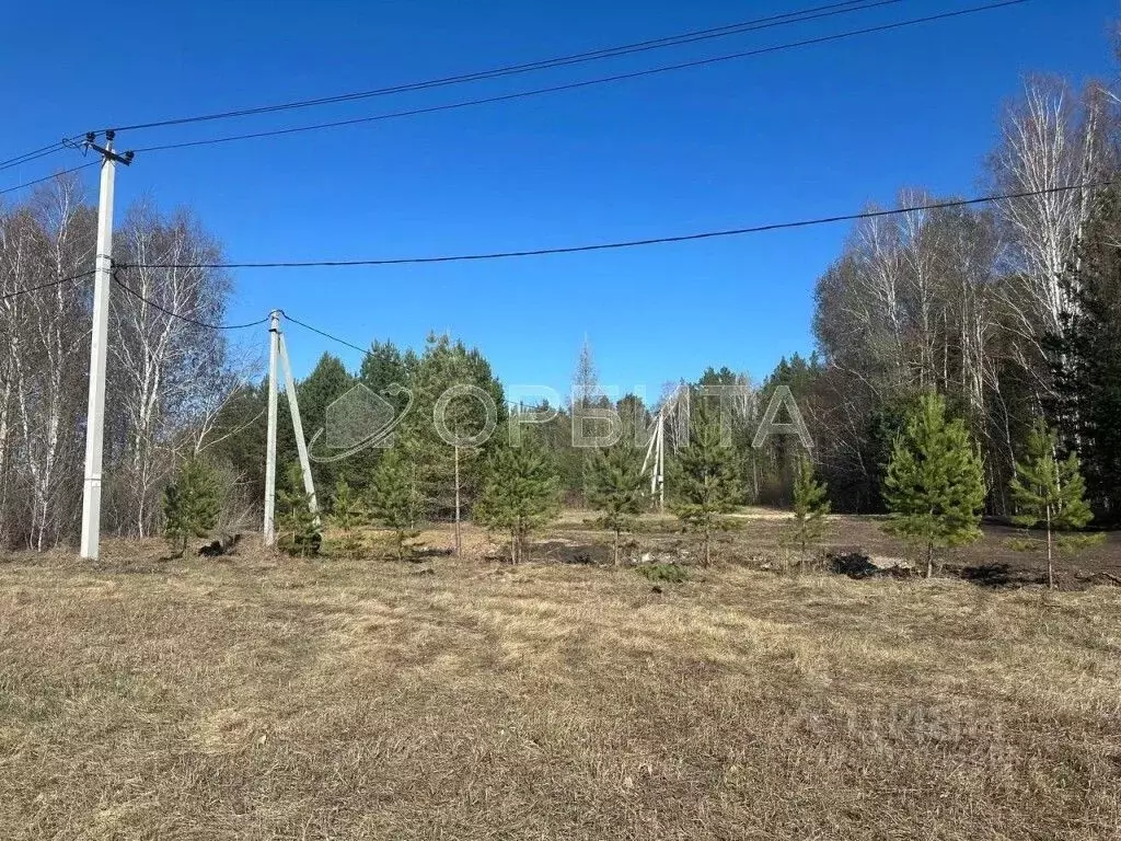 Участок в Тюменская область, Нижнетавдинский район, Березка СНТ  ... - Фото 1