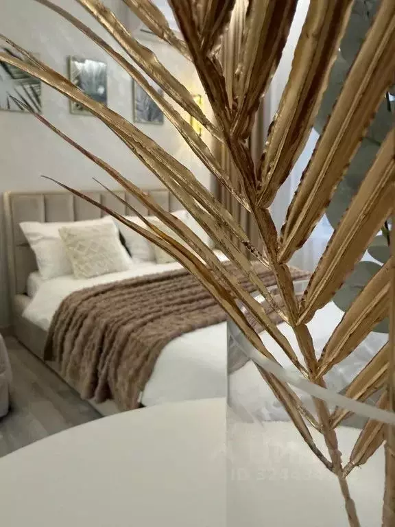 Студия Воронежская область, Воронеж ул. 121-й Стрелковой Дивизии, 9 ... - Фото 1