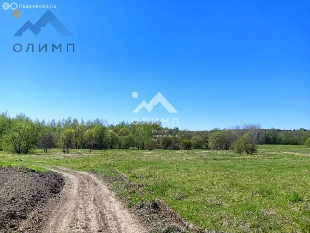 Участок в Вологодский муниципальный округ, деревня Андроново ... - Фото 0