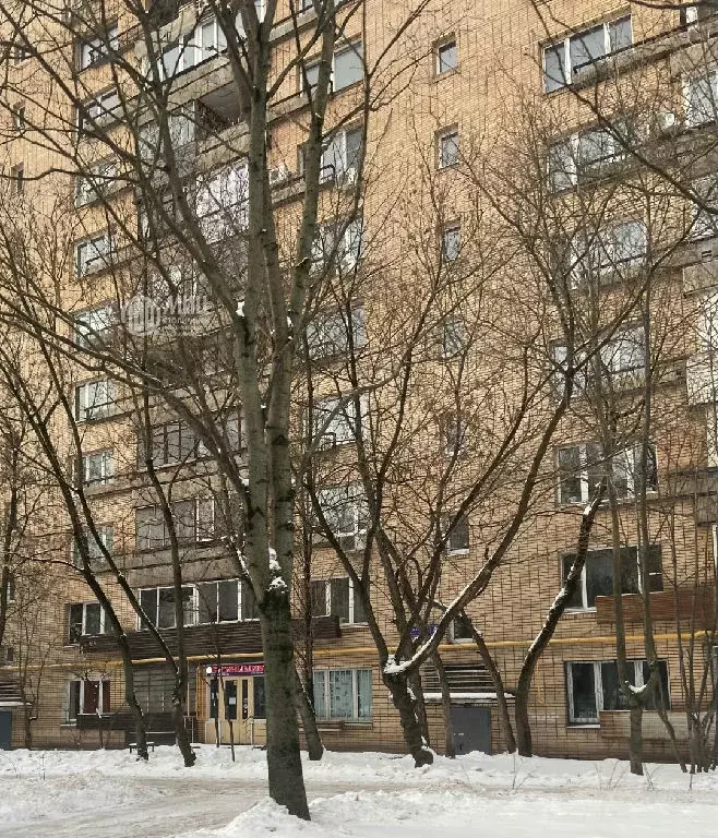 Продается 1-комнатная квартира - Фото 2