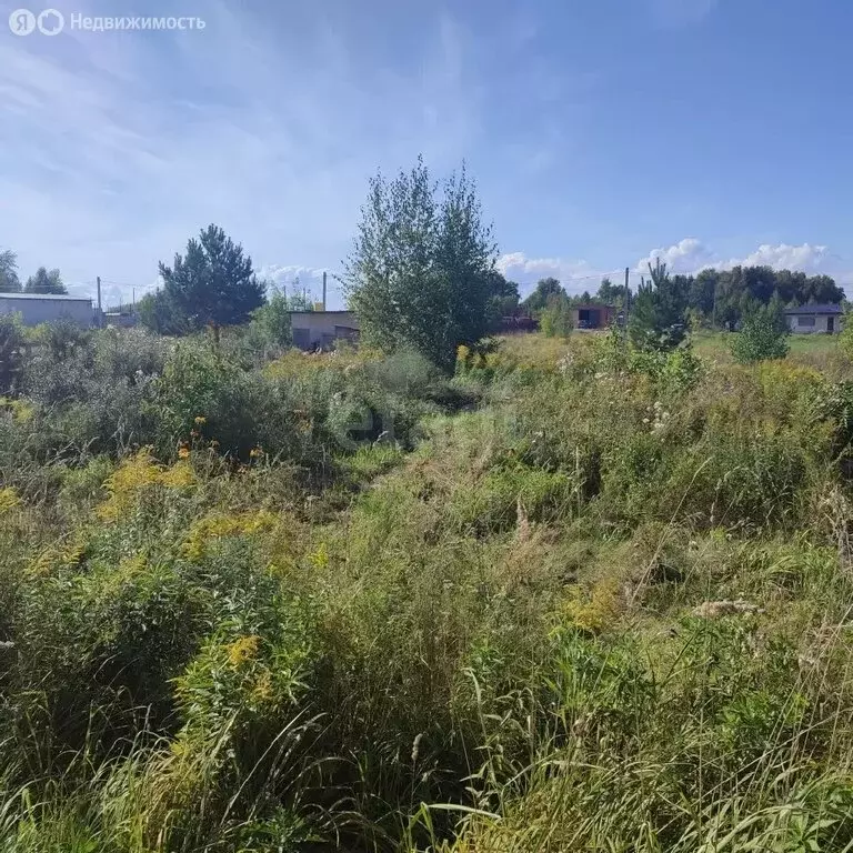 Участок в Бердск, Мировая улица (7.5 м) - Фото 2