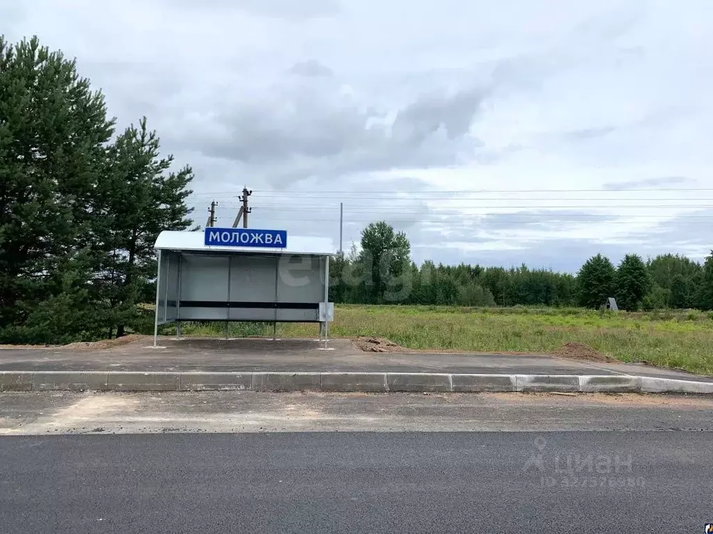 Участок в Псковская область, Печорский муниципальный округ, д. Моложва ... - Фото 1