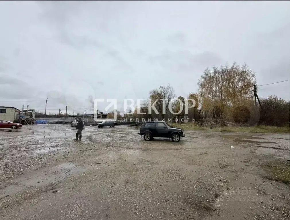 Участок в Костромская область, Кострома Первый кп,  (38.5 сот.) - Фото 1