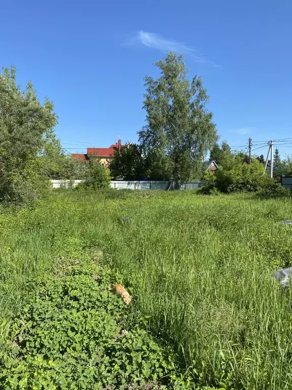 Участок в Московская область, Раменский городской округ, д. Копнино 63 . - Фото 0