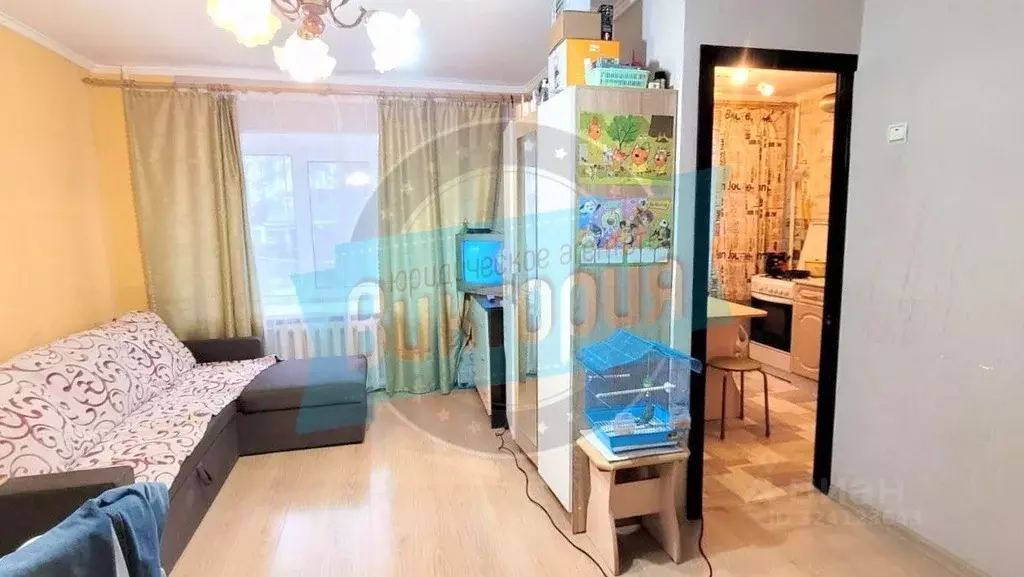 1-к кв. Орловская область, Мценск ул. Гагарина, 74 (30.5 м) - Фото 1