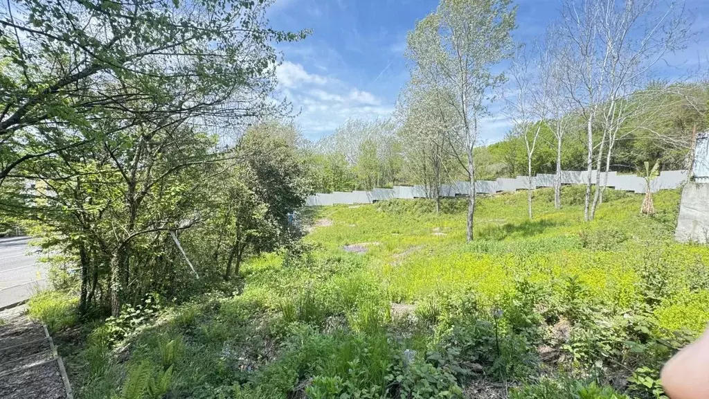 Участок в Краснодарский край, Сочи городской округ, Дагомыс пгт ш. ... - Фото 2