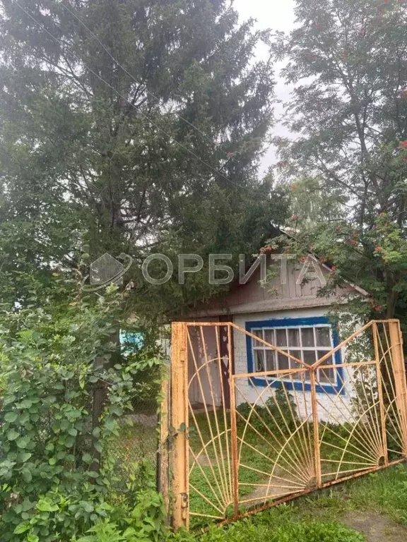 Дом в Тюменская область, Тюмень Здоровье садовое товарищество, ул. ... - Фото 1