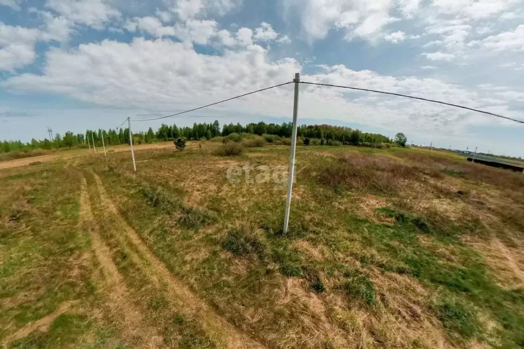 Участок в Тюменская область, Тюменский район, с. Борки  (13.5 сот.) - Фото 0