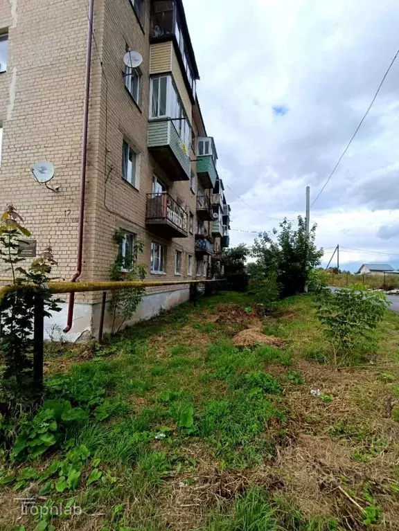 2-к кв. Калужская область, Ферзиковский район, Авчурино с/пос, с. ... - Фото 2