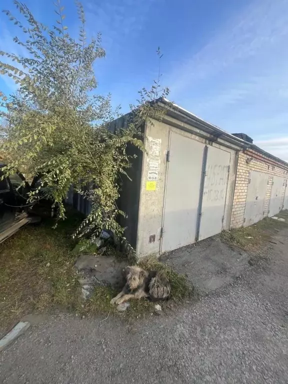 Гараж в Хабаровский край, Хабаровск ул. Жуковского (18 м) - Фото 1