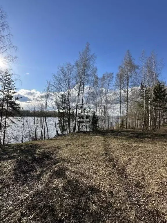 Участок в Нижегородская область, Сокольский муниципальный округ, д. ... - Фото 1