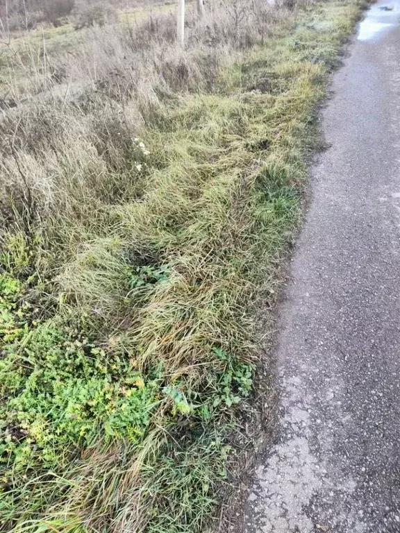 Участок в Белгородская область, Яковлевский муниципальный округ, с. ... - Фото 1