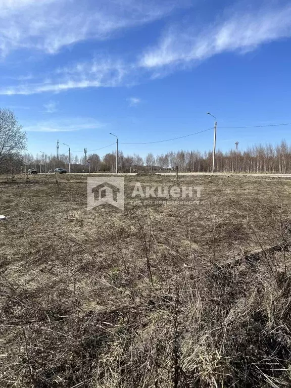 Участок в Ивановская область, Ивановский район, Беляницкое с/пос, д. ... - Фото 1