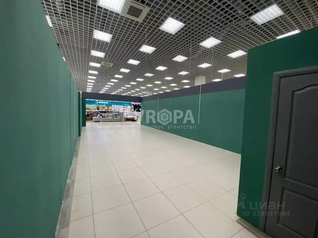 Торговая площадь в Ульяновская область, Ульяновск просп. Созидателей, ... - Фото 2