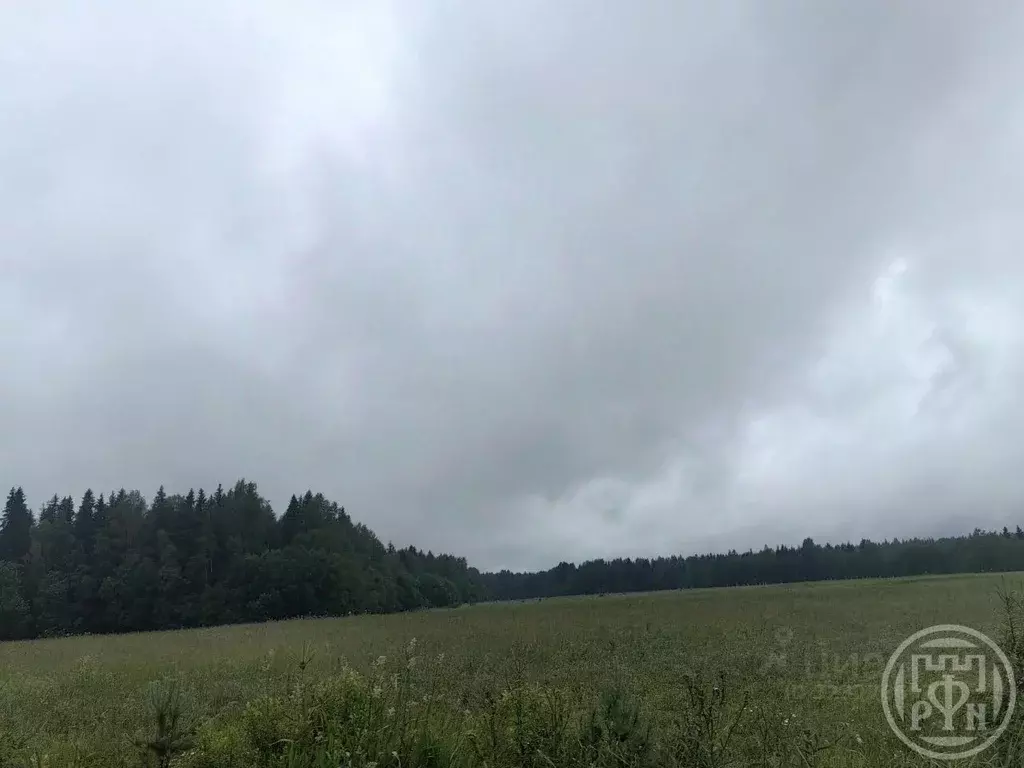 Участок в Псковская область, Куньинский район, Каськовская волость, д. ... - Фото 1