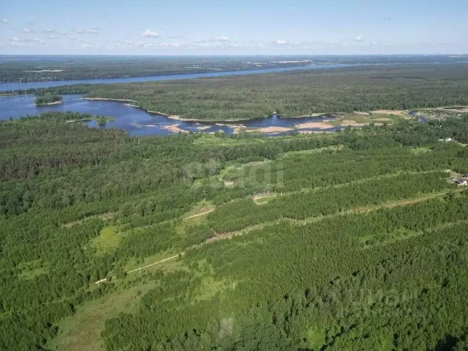 Участок в Костромская область, Красносельский район, Шолоховское ... - Фото 1
