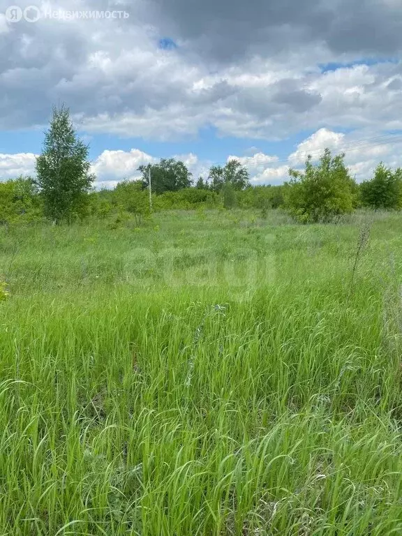 Участок в Омск, территория СОСН Тополёк (6 м) - Фото 0