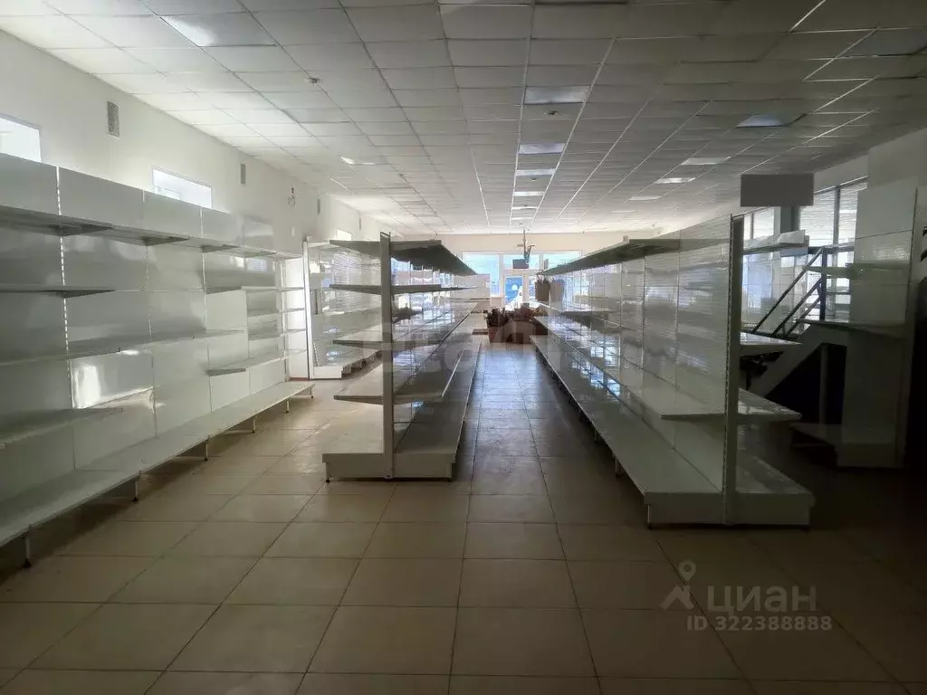 Торговая площадь в Ямало-Ненецкий АО, Новый Уренгой Таежная ул., 224 ... - Фото 1