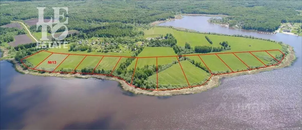 Участок в Ярославская область, Угличский муниципальный округ, д. ... - Фото 1