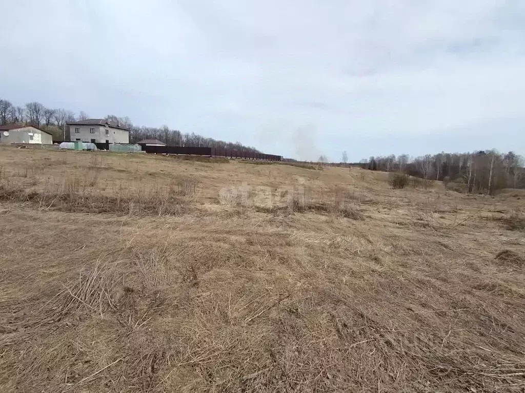 Участок в Калужская область, Бабынинский район, Муромцево с/пос, д. ... - Фото 1