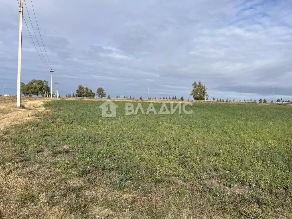 Участок в Белгородская область, Корочанский муниципальный округ, с. ... - Фото 1