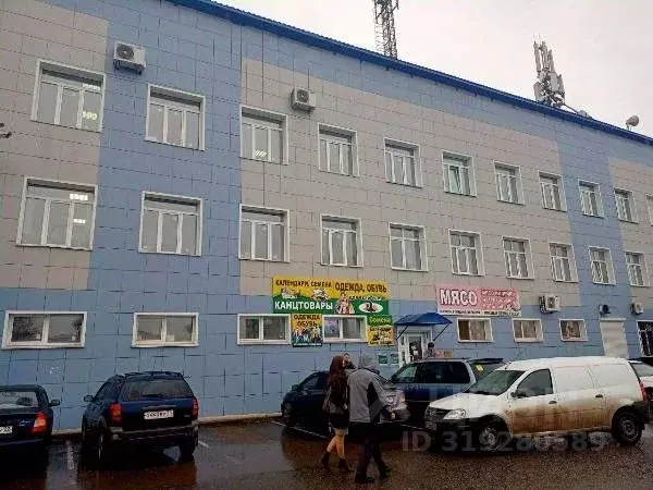 Помещение свободного назначения в Алтай, Майминский район, с. Майма ... - Фото 1