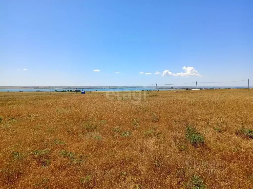 Участок в Крым, Черноморский район, с. Межводное проезд Якушенко (10.0 ... - Фото 1