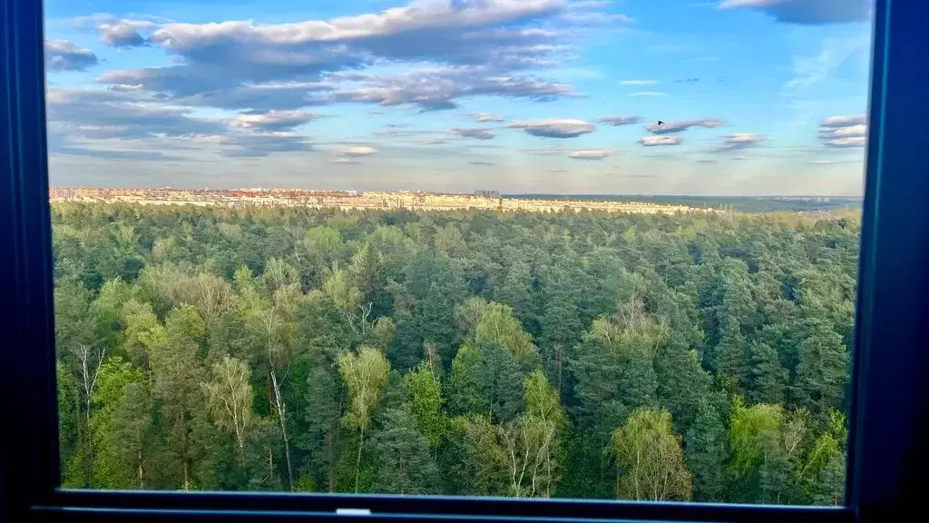 1-к кв. Московская область, Ленинский городской округ, Боброво пгт ул. ... - Фото 1