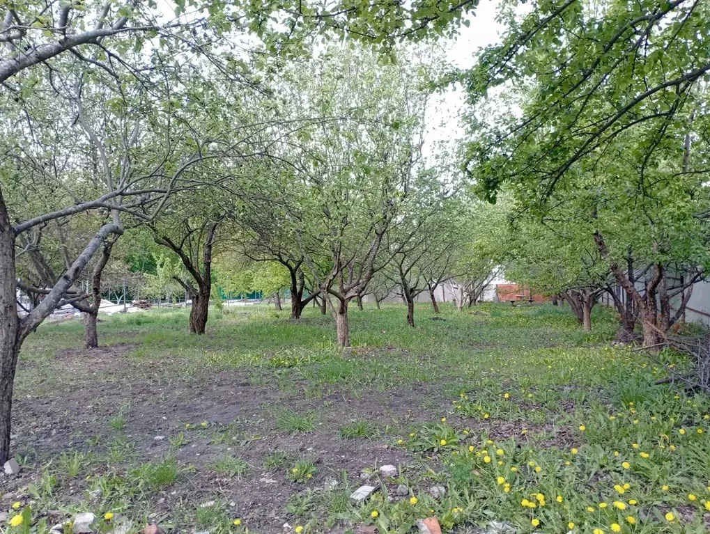 Участок в Белгородская область, Белгородский район, Никольское с/пос, ... - Фото 0