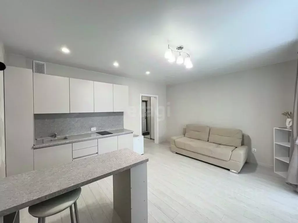 Студия Тюменская область, Тюмень ул. Николая Никитина, 8 (26.0 м) - Фото 1