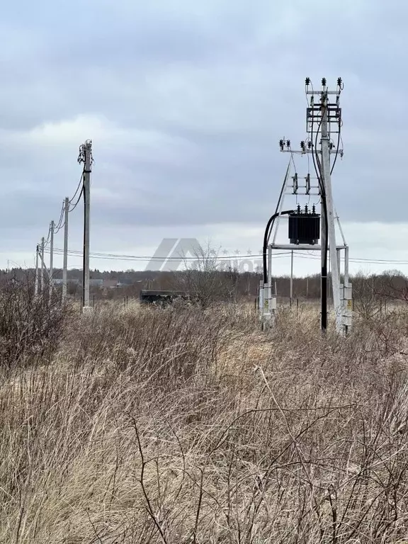 Участок в Калининградская область, Зеленоградский муниципальный округ, ... - Фото 1