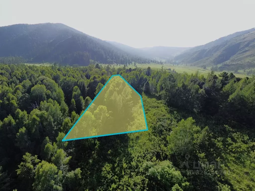 Участок в Алтай, Усть-Коксинский район, пос. Маральник-1 ул. Горная, ... - Фото 1